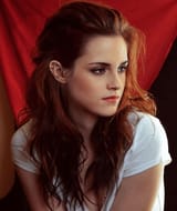 kstew