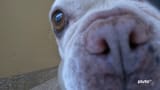 vlcsnap-2025-08-07-19h10m38s929