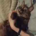 1691081180528226_thumb.jpg