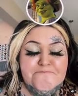 it_s_ogre