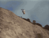 poop
