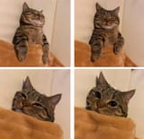 discomfortably awake