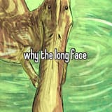 1754418628500388