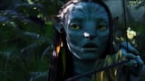Neytiri_0132