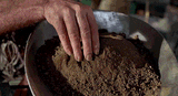 pure dirt
