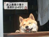 1388115775301