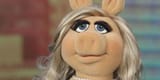 Amy Schumer