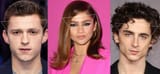 tommy-zendaya-timmy