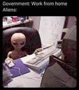 1753758463961296