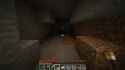minecraft_never_down_thumb.jpg