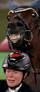 olympic rape horse