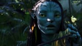 Neytiri_0131