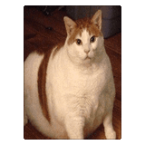3dgifmaker24387