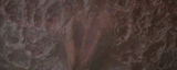 guild_navigator_spicy_kisses