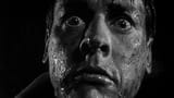 invasion-of-the-body-snatchers-1200-1200-675-675-crop-000000[1]