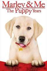 marley-me-the-puppy-years
