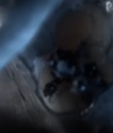 Black Goo u know from the Prequels 