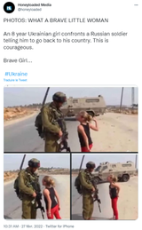 w1024-capture palestine