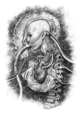 matthew-hatton-28-mh-shaw-immaculateheart-01-061516-b