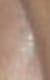 sweatshine