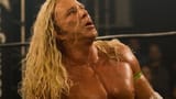 thewrestler