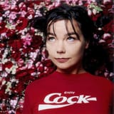 björk-1990s-v0-fk7g98xvr8if1