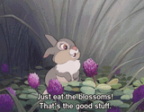 Thread image