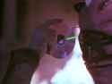 Hellraiser III (2)_thumb.jpg