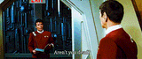 tumblr_m7n3yemP7P1qgp4qvo1_500