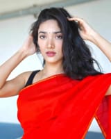 Medha-Shankr