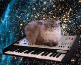 space