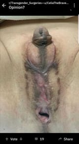 Thread 213626792 OP Image
