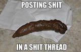 shit