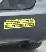 this-bumper-sticker-i-found-on-tiktok-v0-zntq1leelu8e1