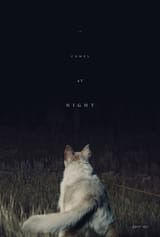 it_comes_at_night_xlg