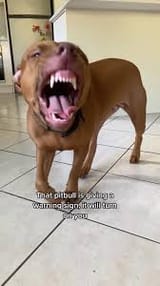 pit
