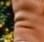 1000037894