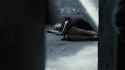 The Courageous Heart of Irena Sendler (2009) 2_thumb.jpg