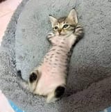 FB_IMG_1725971397154