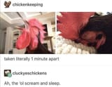 hwmp0yv0wlv51