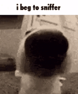 1000007271