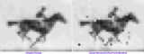 Thread 213674155 OP Image