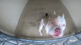 vlcsnap-2025-08-14-23h05m47s957