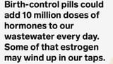 estrogen
