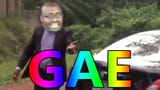 gae