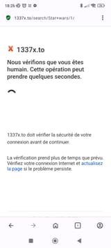 Screenshot_2025-08-17-18-26-28-277_com.opera.browser