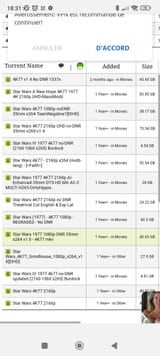 Screenshot_2025-08-17-18-31-14-445_com.duckduckgo.mobile.android