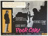 Poor-Cow-UK-Q-1967-LB.-second-copy-scaled
