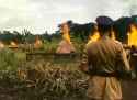 African Queen_thumb.jpg