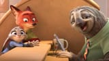 zootopia